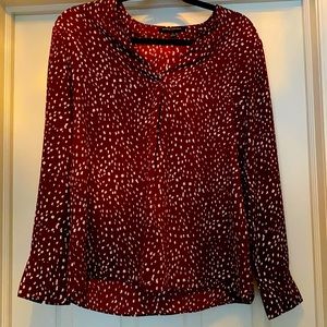 Banana Republic V-Neck Blouse